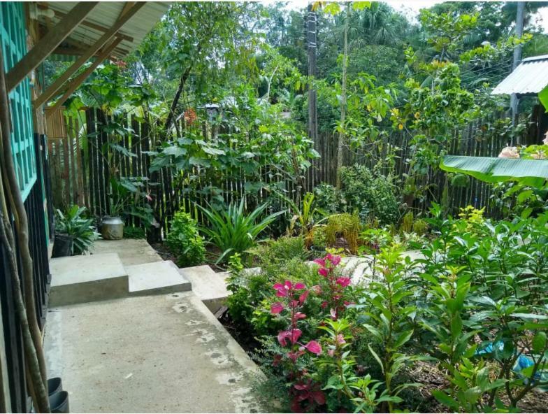 Apartament Flor De La Selva Puerto Nariño Zewnętrze zdjęcie